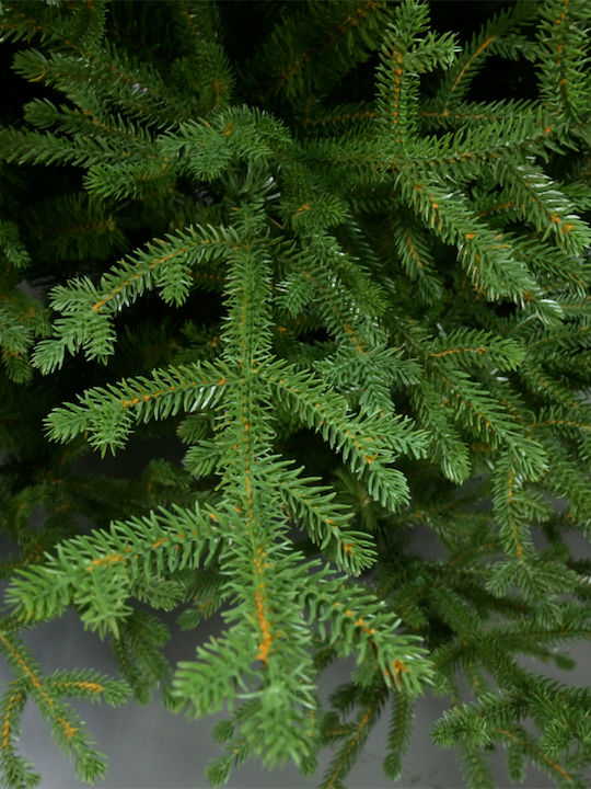Noel Green Tree Noel Green Tree