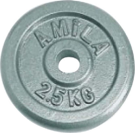 AMILA Δίσκος Μεταλλικός 1 x 2.5kg Φ28mm