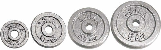 AMILA Δίσκος Μεταλλικός 1 x 2.5kg Φ28mm