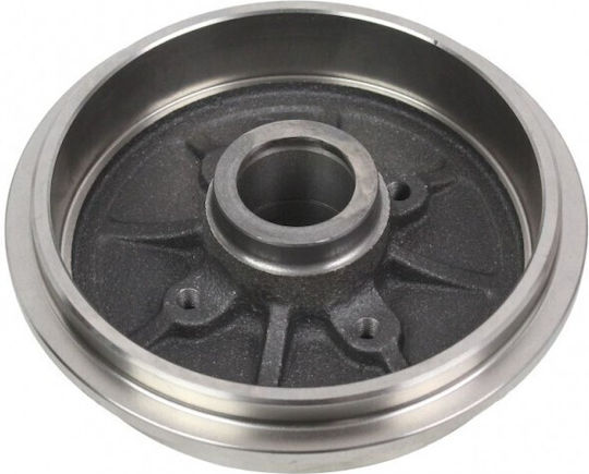 Tambur de Frână Spate Citroen C2 C3 Peugeot 1007 206 203x42 4247 46