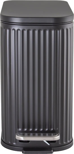 AWD Interior Inox Καλαθάκι Μπάνιου Soft Close 5lt Μαύρο