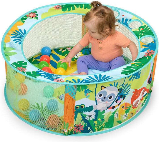 Bright Starts Activity Gym for 6+ Months