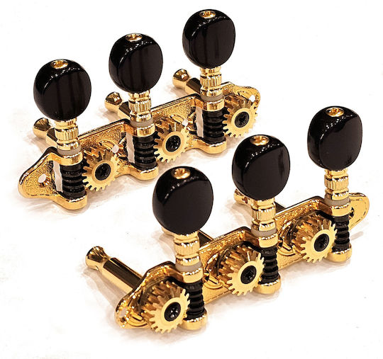 Grover Ma200 Ss 3+3 Goldene Schwarze Buttons