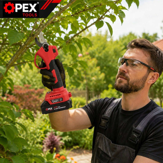 Gartenschere Brushless 21V mit 2 Batterien & Maximaler Schnittdurchmesser 25mm in Tragetasche