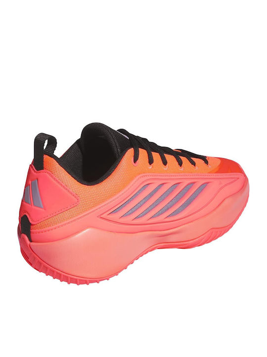 Herren Sneakers Fuchsie