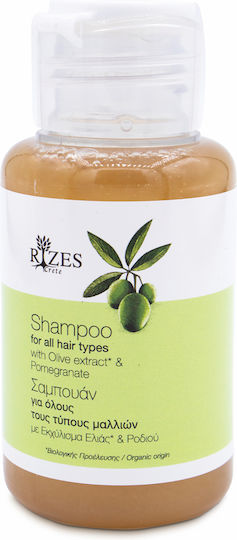 Shampoos 60ml