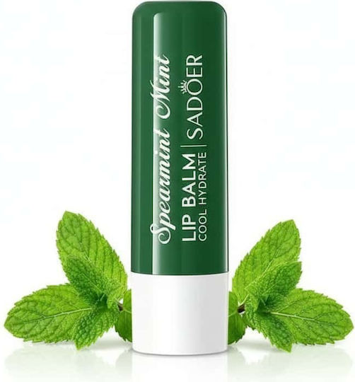 Mint Lip Balm