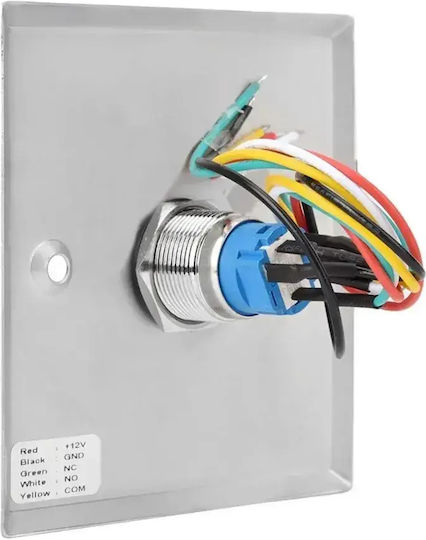 Mentor Acs033 Buton De Ieșire Control Acces Fără Com 12v Încastrat Iluminat Oțel