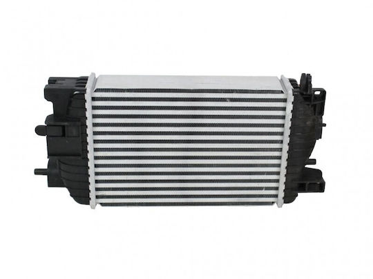 Ψυγείο Αέρα Υπερπλήρωσης Opel Meriva B 1302142