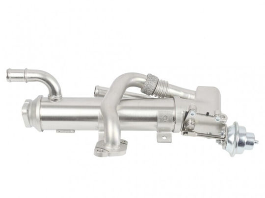 Loro Auto-Kühlschrank Motor Audi A4 A6 03g131512al
