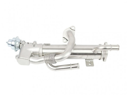 Loro Auto-Kühlschrank Motor Audi A4 A6 03g131512al