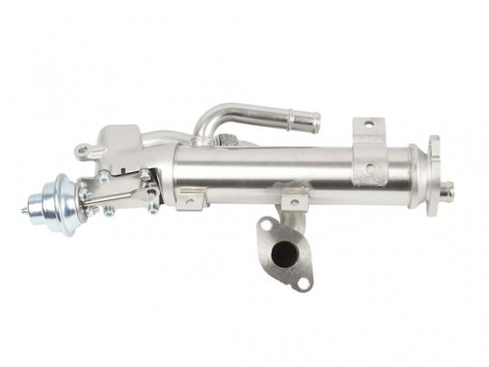 Loro Auto-Kühlschrank Motor Audi A4 A6 03g131512al