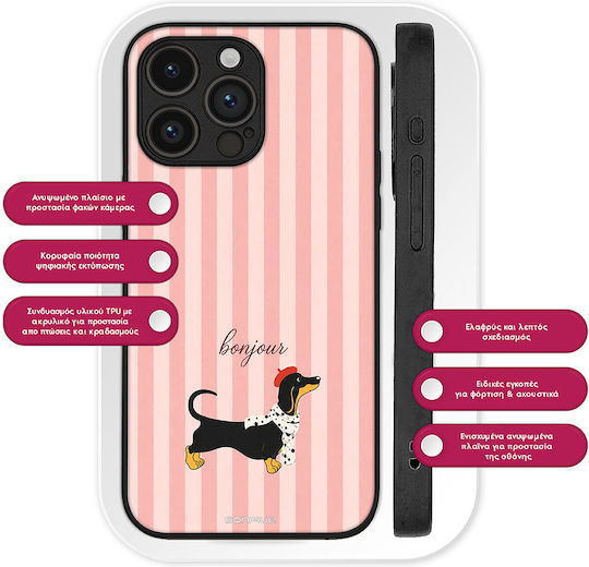 Husă Sonique Stripe Stories Series OnePlus Nord CE 5G Bonjour Puppy
