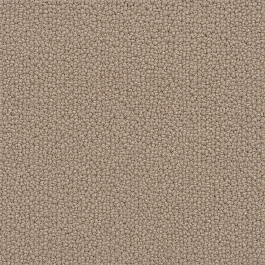 Jollie Χαλί Ορθογώνιο Μπεζ 150x200cm