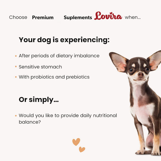 Lovira Probiotika Hund 180g Für Magen-Darm-Erkrankungen