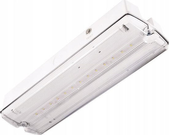 Intelight Outdoor Lighting Batten With Built-in LED 4W