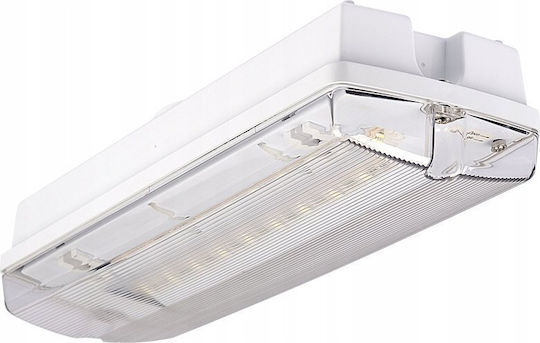 Intelight Outdoor Lighting Batten With Built-in LED 4W