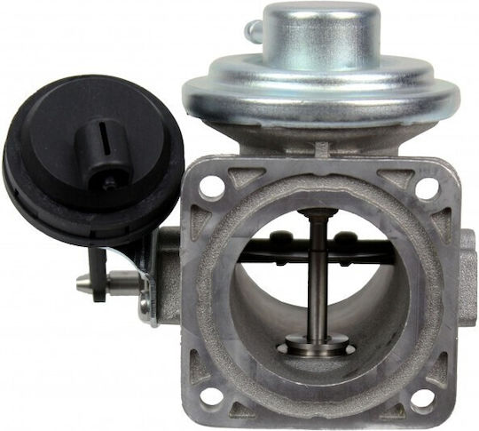 Βαλβίδα Egr Vw Lt Ii 074129463a