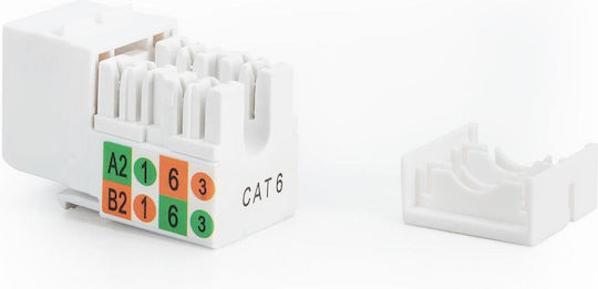 Digitus Netzwerk-Schlüsselsteine DN-93601 RJ45 1 Stück