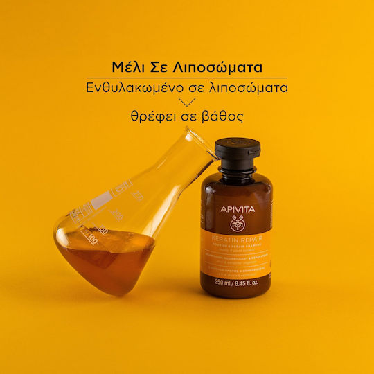 Apivita Keratin Repair Honey & Plant Keratin Σαμπουάν Αναδόμησης/Θρέψης για Ταλαιπωρημένα Μαλλιά 250ml