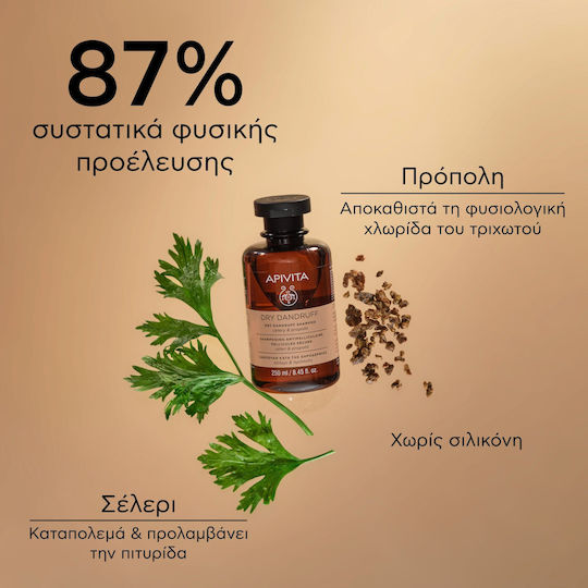 Apivita Dry Dandruff Celery & Propolis Шампоан Против Пърхот и Суха Кожа на Главата 250ml