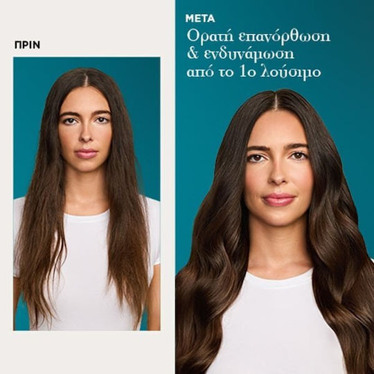 OGX Morocco Σαμπουάν Αναδόμησης/Θρέψης & Ενυδάτωσης 385ml