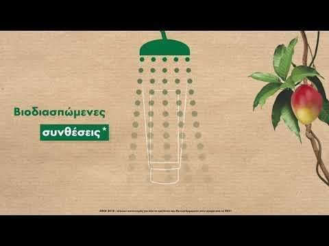 Klorane Citrus Purifying Шампоан Дълбоко Почистване и Блясък за Мазна Коса 400ml