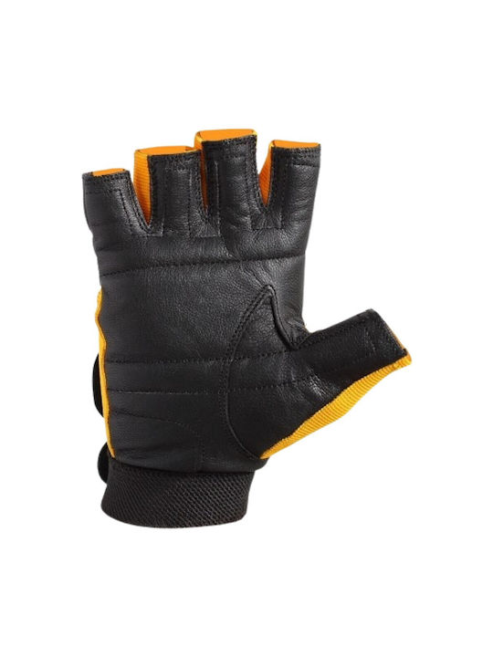 Armageddon Sports Men's Sports Gloves