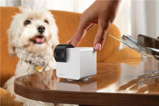 Tesla Petcube Petcube Cam 360 IP Κάμερα Παρακολούθησης Wi-Fi Full HD 1080p με Αμφίδρομη Επικοινωνία και Φακό 2.4mm
