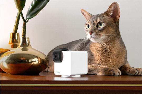 Tesla Petcube Petcube Cam 360 IP Κάμερα Παρακολούθησης Wi-Fi Full HD 1080p με Αμφίδρομη Επικοινωνία και Φακό 2.4mm