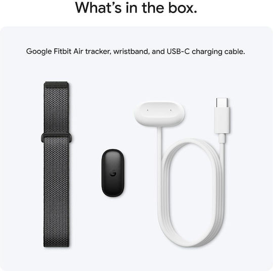Google Fitbit Air Berry