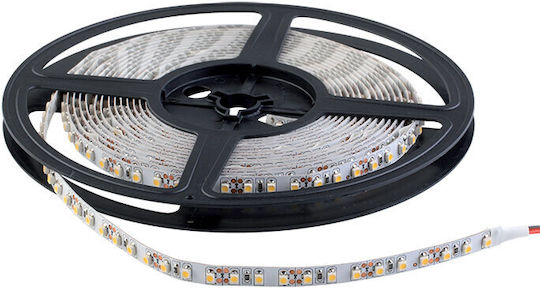 Elmark Bandă LED 24V Roșu Lumină 5m Tip SMD3528