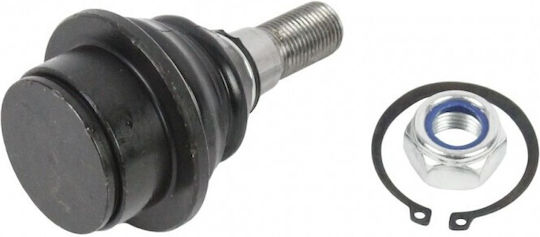 Loro Frontaufhängung Arm Ford Transit Transit Connect Links Rechts 4381927