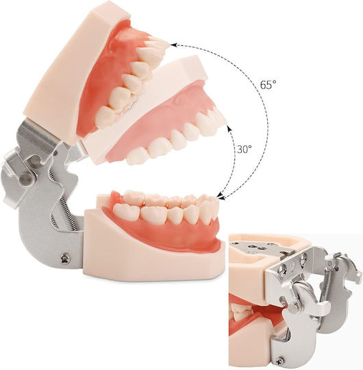 Manechin De Antrenament Medical