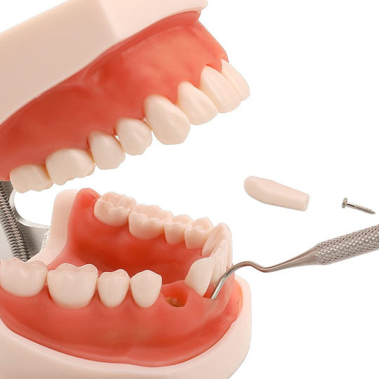 Manechin De Antrenament Medical