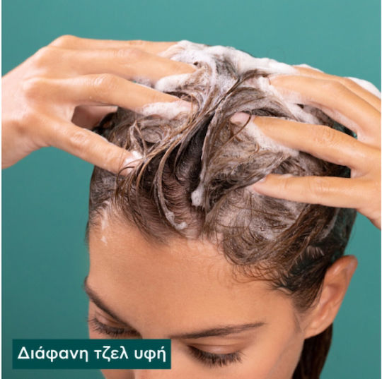 Apivita Oil Balance Peppermint & Propolis Σαμπουάν κατά της Σμηγματορροϊκής Δερματίτιδας για Λιπαρά Μαλλιά 250ml