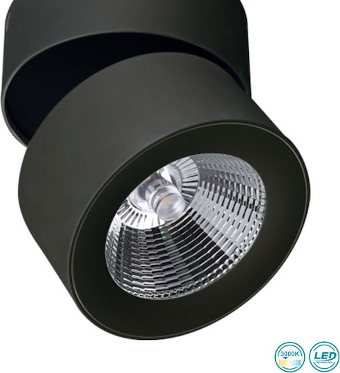 Viokef Moris Einzel LED Warmes Weiß Spot in Schwarz Farbe