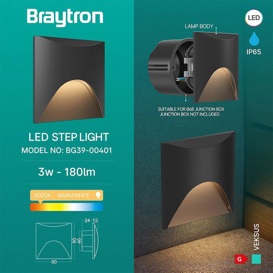 Braytron Veksus Wall-Mounted Outdoor Lighting LED IP65