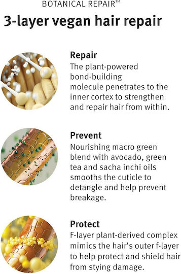 Aveda Botanical Repair Σαμπουάν Αναδόμησης/Θρέψης & Ενυδάτωσης για Εύθραυστα Μαλλιά 50ml