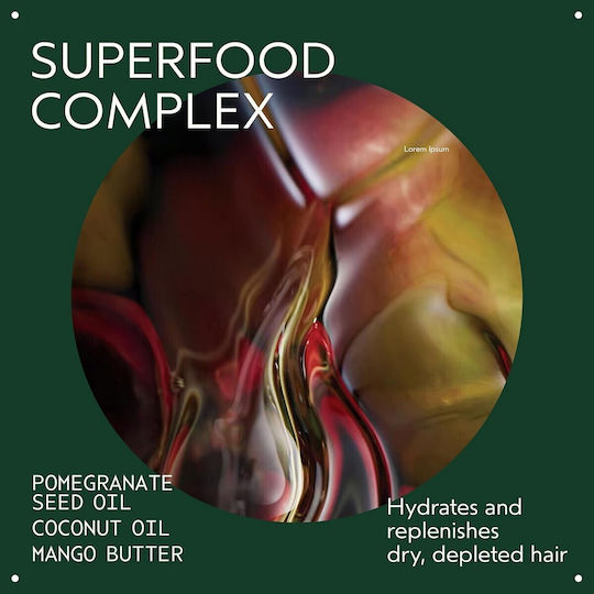 Aveda Nutri Plenish Light Moisture Shampoos für Trocken Haare 1000ml