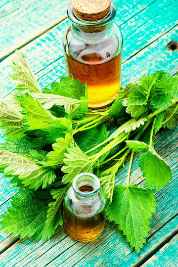 Qure Mr. Q Nettle Στέρεο Σαμπουάν κατά της Πιτυρίδας για Όλους τους Τύπους Μαλλιών 90gr