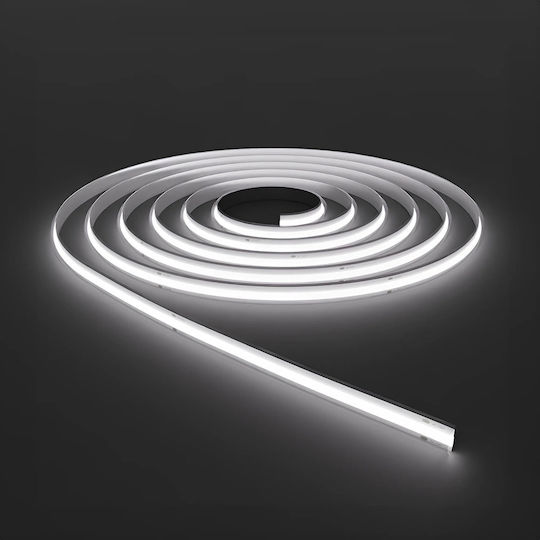Braytron Waterproof LED Strip 220V Cold White Light 100m COB Type