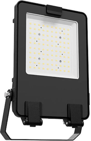 Aca Στεγανός Προβολέας LED 50W Ψυχρό Λευκό 6000K IP66
