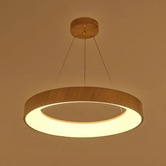 Brown LED Ceiling Light with Warm to Cool White Light