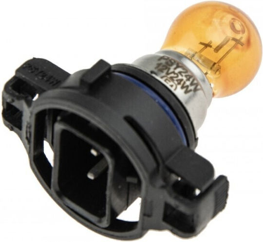 NTY Lămpi Auto PSY24W Portocalii 12V 24W 10 Bucăți