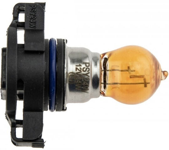NTY Lămpi Auto PSY24W Portocalii 12V 24W 10 Bucăți