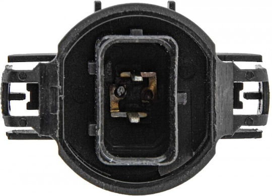 NTY Car Lamps PS19W 12V 19W 10 Pieces