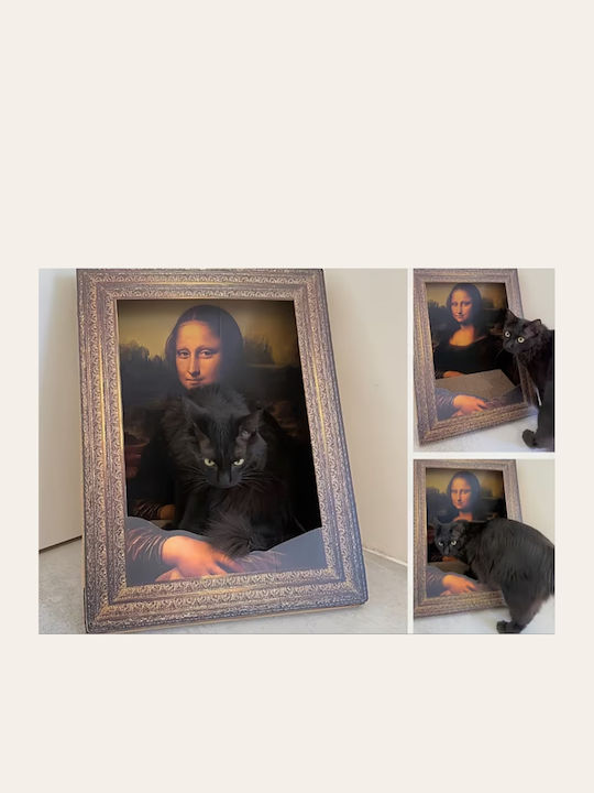 Pet's Choice Pat Pentru Câini Cu Cuib 52x35cm