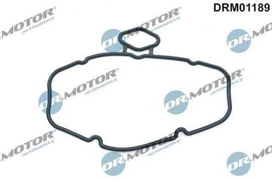 Valve Gasket Fiat Seicento Cinquecento Drm01189-10336