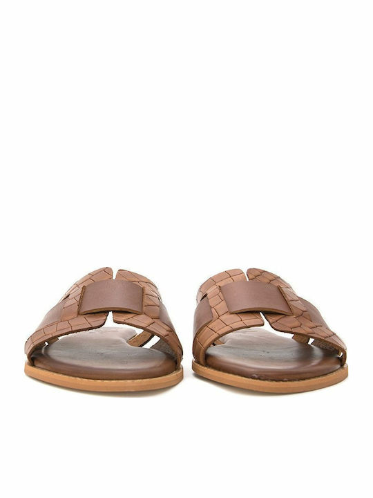 Bacali Collection